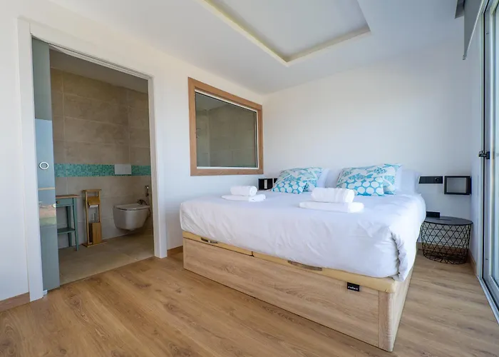 Rosa De Ara La Matanza De Acentejo