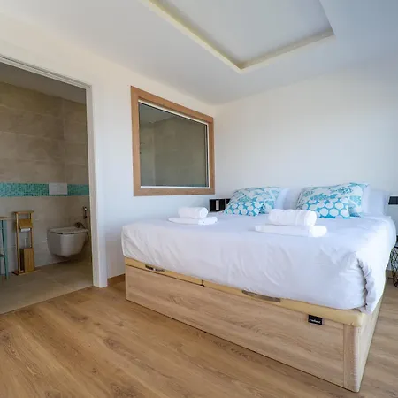 Rosa De Ara La Matanza De Acentejo